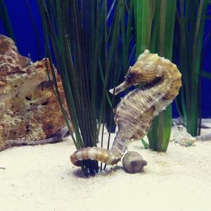 Meet your Posher, Kay